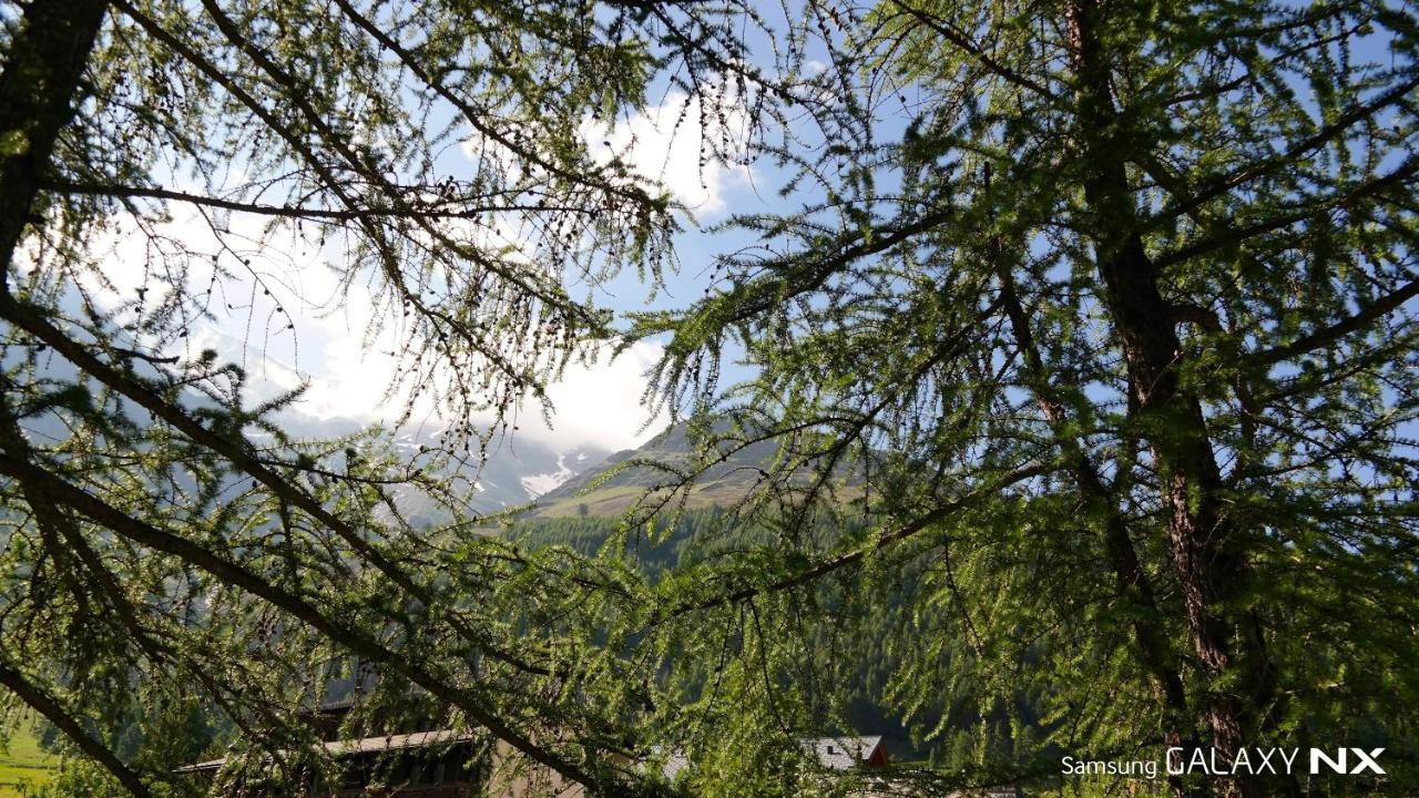 Amber Ski-In/Out Hotel & Spa サース フェー エクステリア 写真