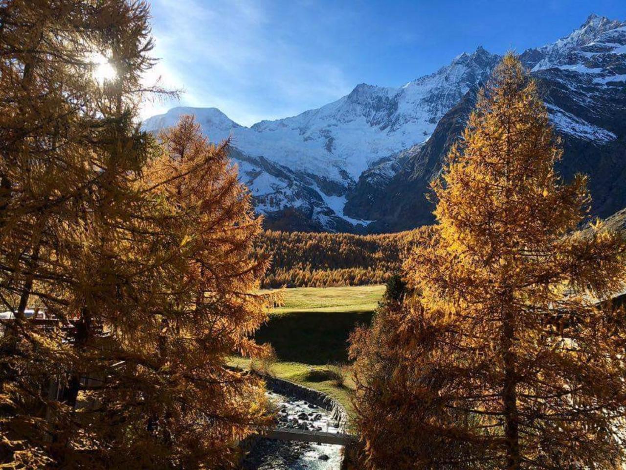 Amber Ski-In/Out Hotel & Spa サース フェー エクステリア 写真